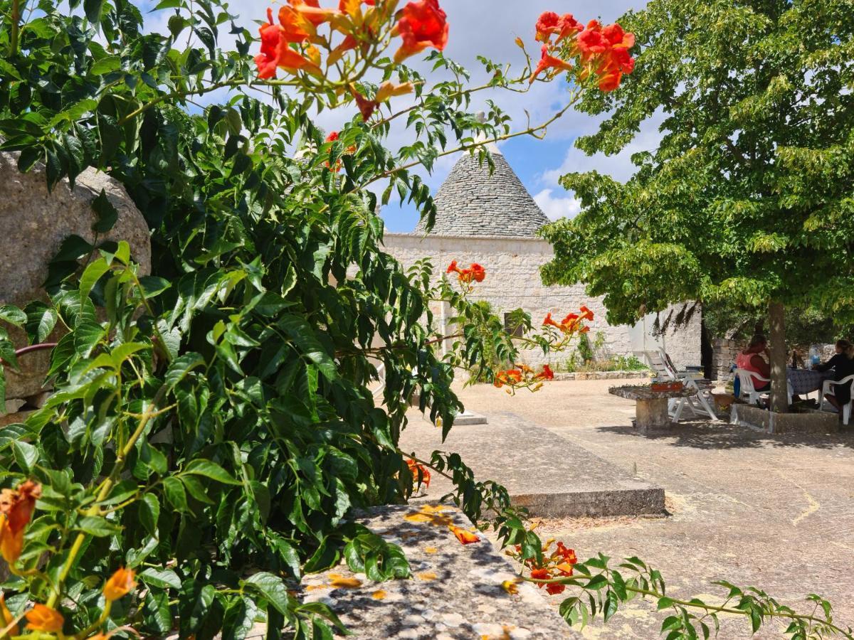 Trulli L'Utopia Di Anny Trulli Anny'S Utopia Locorotondo Exterior photo